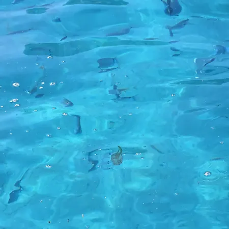 Pranos Turismo Rurale 2* 칼라고노네