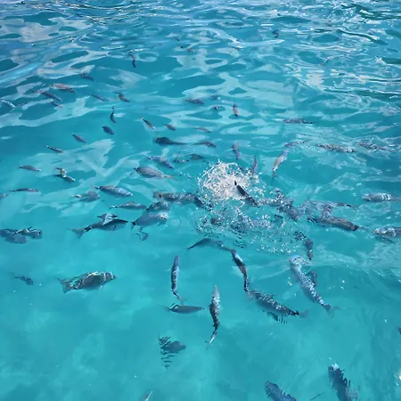 호텔 Pranos Turismo Rurale 칼라고노네